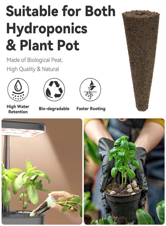 LYKOCLEAN Gourmet Herb Seed Pod Kit Compatible with AeroGarden, idoo, Ahopegarden, Gardencube with Basil, Parsley, Thyme, Mint, Cilantro, Dill, Oregano, Chives - Compatible with All Hydroponics(8-Pod) - Image 4