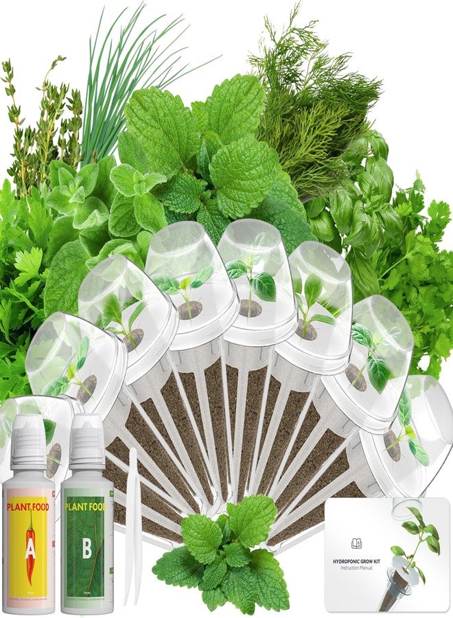 LYKOCLEAN Gourmet Herb Seed Pod Kit Compatible with AeroGarden, idoo, Ahopegarden, Gardencube with Basil, Parsley, Thyme, Mint, Cilantro, Dill, Oregano, Chives - Compatible with All Hydroponics(8-Pod) - Image 1