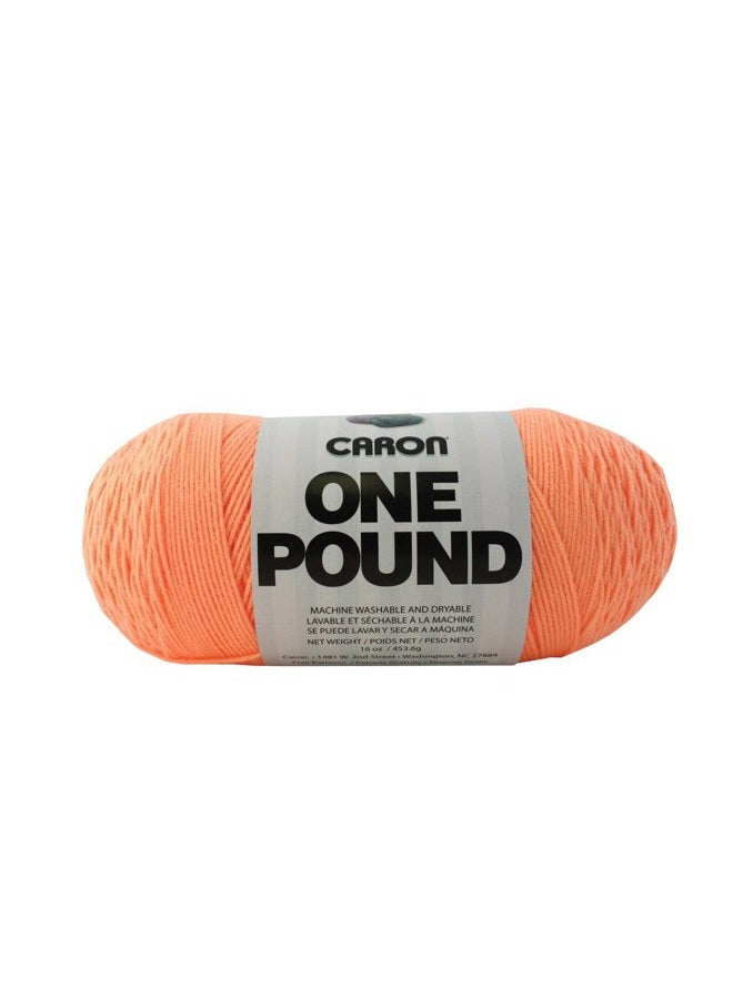 CARON One Pound Solids Yarn, 16oz, Gauge 4 Medium, 100% Acrylic - Peach- For Crochet, Knitting & Crafting (1 Piece) - Image 1