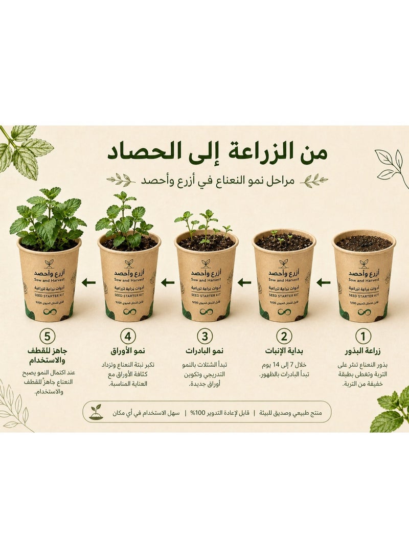 بذرات 6 علب من ازرع واحصد – نعناع– أدوات زراعة في كوب مع تربة وبذور – للزراعة المنزلية، مناسبة للتوزيع في المدارس والشركات – مصنوعة من مواد معاد تدويرها - Image 5
