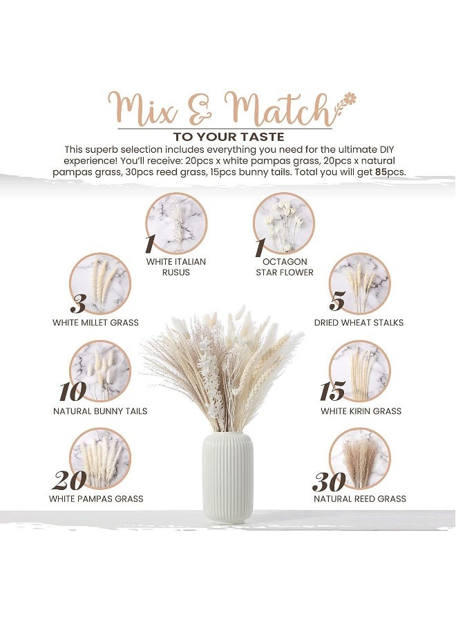 85 Pcs Dried Pampas Grass Dried Flowers Of Small Reeds Boho Natural Flowers Arrangements White Reed Bunny Tails for Home Decor Flower Living Room Balcony Wedding Party
