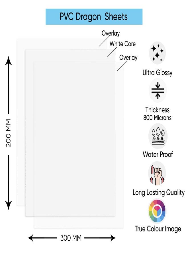 BIGFALCON Premium PVC Lamination Dragon Sheet Set of 15 Cores and 30 Overlays A4 Size 800 Micron for PVC Aadhar, Photos, ID Card - Image 3