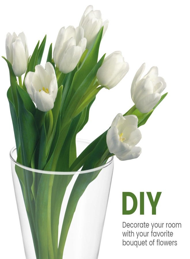 ياردوي مزهرية معلقة من ياردوي، وعاء نباتات عصارية شفاف للجدران، مثالي لتزيين المنزل، غرفة النوم، غرفة المعيشة، المكتب - Image 5