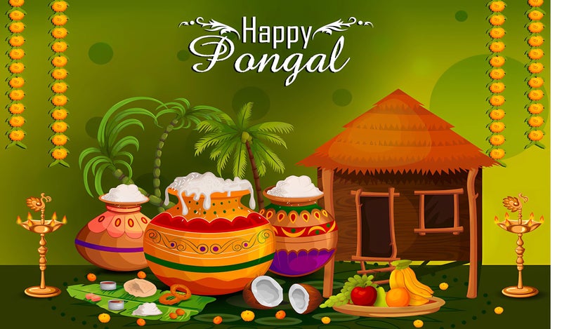 Backdropon Happy Pongal Festival Design Backdrop Cloth for Pooja Decoration Traditional Background Curtain Cloth for Festival Size 3 Feet Height and 5 Feet Width(3 * 5) - Image 1