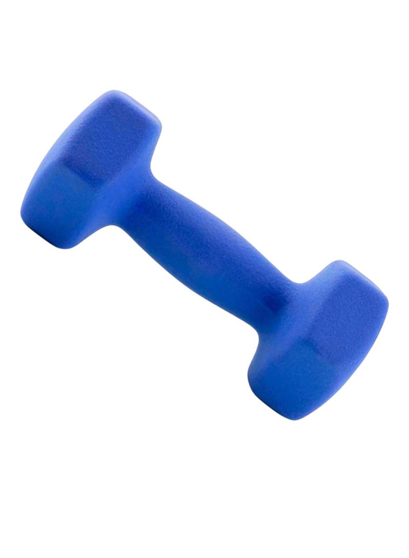 دمبل من النيوبرين 5 كجم، ألوان زرقاء، متينة ومضادة للانزلاق - Image 1