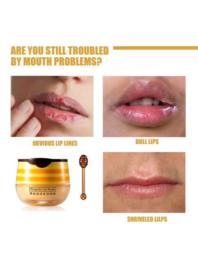 JISKG 4Pcs Lip Balm Honey Pot, Propolis Moisturizing Honey Lip Mask Lip Balm, Reduces Lip Lines, Prevention Dry and Cracked Lip Scrubs Exfoliator. … - Image 2