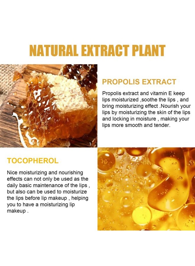 JISKG 4Pcs Lip Balm Honey Pot, Propolis Moisturizing Honey Lip Mask Lip Balm, Reduces Lip Lines, Prevention Dry and Cracked Lip Scrubs Exfoliator. … - Image 3