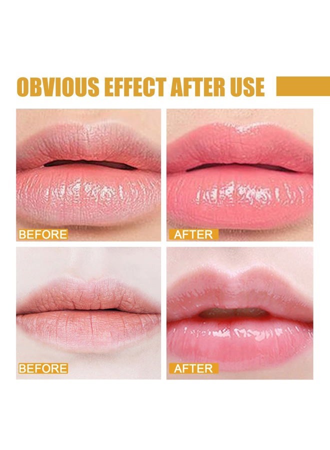 JISKG 4Pcs Lip Balm Honey Pot, Propolis Moisturizing Honey Lip Mask Lip Balm, Reduces Lip Lines, Prevention Dry and Cracked Lip Scrubs Exfoliator. … - Image 5