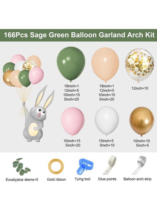 Amandir 166Pcs Sage Green Balloon Garland Arch Kit Olive Green Blush Peach White Gold Balloons Artificial Eucalyptus Stems Jungle Safari Baby Shower Birthday Party Baptism Decorations For Boys Girls  - Image 3