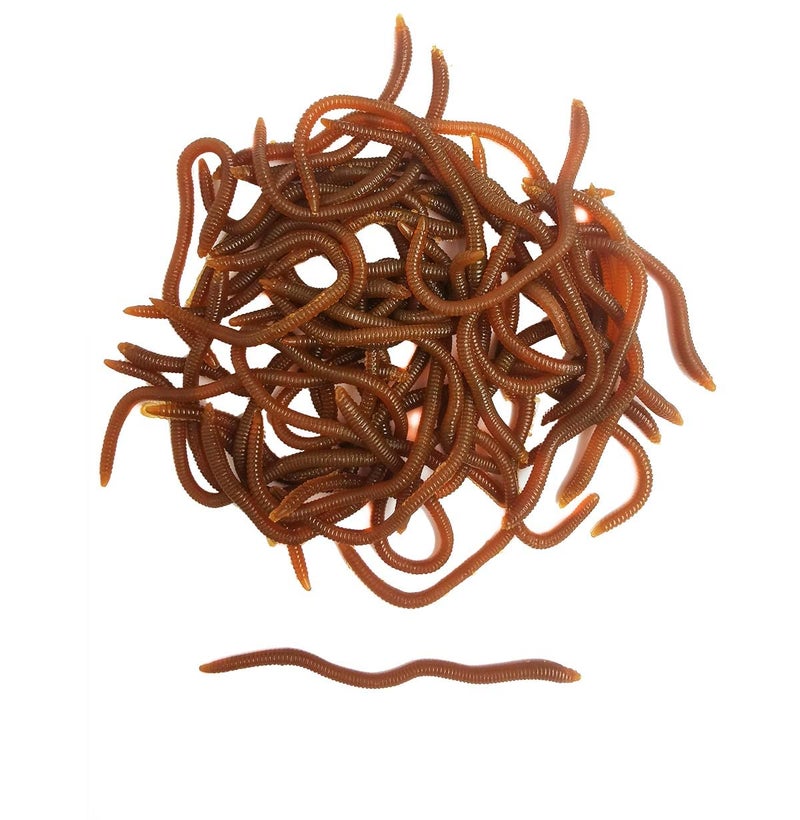 Milepetus 1.6in/3.3in Fishing Soft Lure Trout Worm Earthworm Bait Lifelike Fake Bloodworm Grub Worm Soft Fishing Lure Baits (Brown (50pcs/Pack), 3.3inch) - Image 4