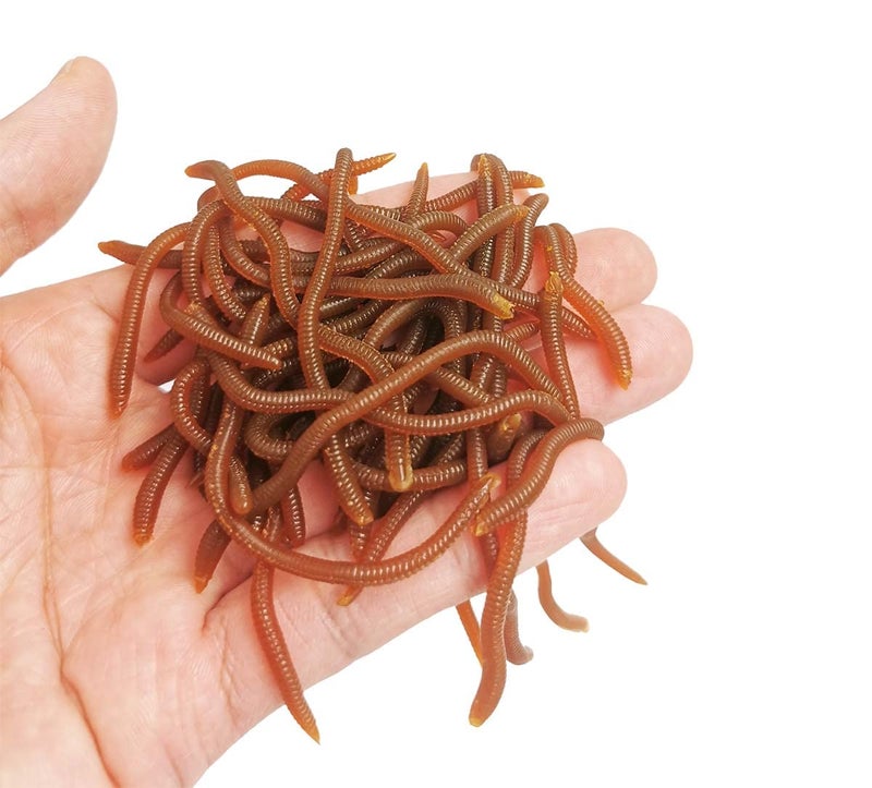 Milepetus 1.6in/3.3in Fishing Soft Lure Trout Worm Earthworm Bait Lifelike Fake Bloodworm Grub Worm Soft Fishing Lure Baits (Brown (50pcs/Pack), 3.3inch) - Image 3