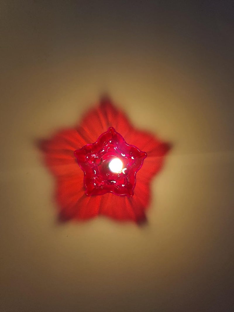 Anshri Pack of 12 3D Reflective Shadow Diyas for Diwali Decoration Item for Home Decor Dipawali Diya Transparent Oil and Water Diya Deepawali Decoration Diya bati Reflection Diya Set 12 - Image 5