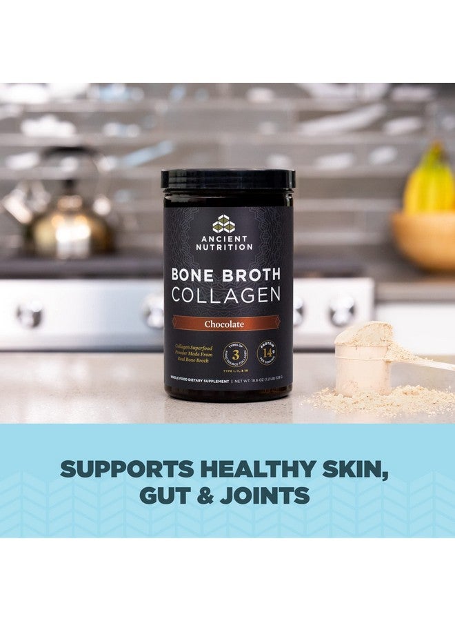 Ancient Nutrition مسحوق الكولاجين مرق العظام الكولاجين بالشوكولاتة الببتيدات المتعددة المحللة يدعم البشرة والأظافر مكمل المفاصل 30 وجبة 18.6 أونصة - Image 4