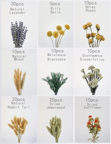 xin's convey DIY Natural Dried Flower Set, Bulk Dried Flowers for Vase, Dried Flowers with Stems, Dried Roses, Mini Dried Flower Bouquets.(Brown) - Image 2
