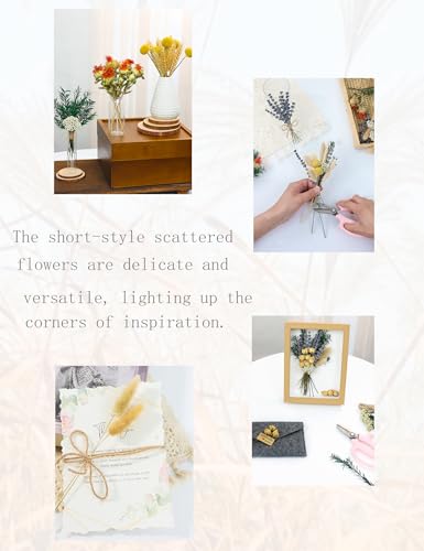xin's convey DIY Natural Dried Flower Set, Bulk Dried Flowers for Vase, Dried Flowers with Stems, Dried Roses, Mini Dried Flower Bouquets.(Brown) - Image 5