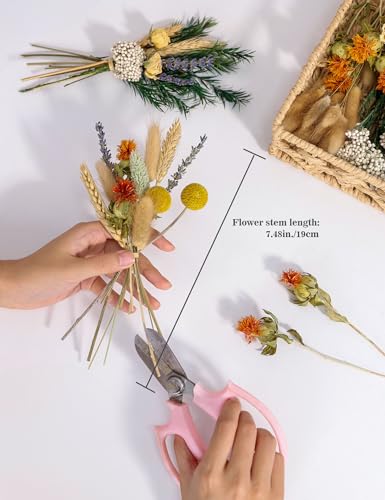 xin's convey DIY Natural Dried Flower Set, Bulk Dried Flowers for Vase, Dried Flowers with Stems, Dried Roses, Mini Dried Flower Bouquets.(Brown) - Image 3