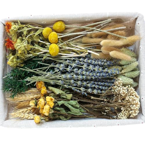 xin's convey DIY Natural Dried Flower Set, Bulk Dried Flowers for Vase, Dried Flowers with Stems, Dried Roses, Mini Dried Flower Bouquets.(Brown) - Image 1