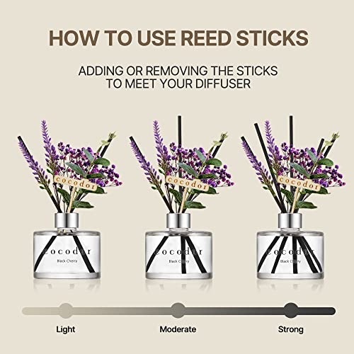 COCODOR Lavender Reed Diffuser/Garden Lavender / 6.7oz(200ml) / 1 Pack/Home Decor & Office Decor, Fragrance and Gifts - Image 4