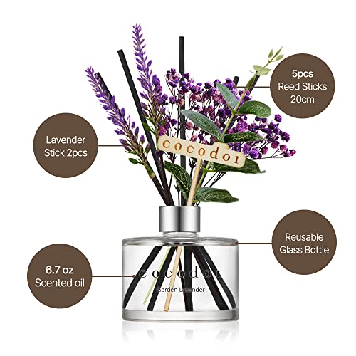 COCODOR Lavender Reed Diffuser/Garden Lavender / 6.7oz(200ml) / 1 Pack/Home Decor & Office Decor, Fragrance and Gifts - Image 3