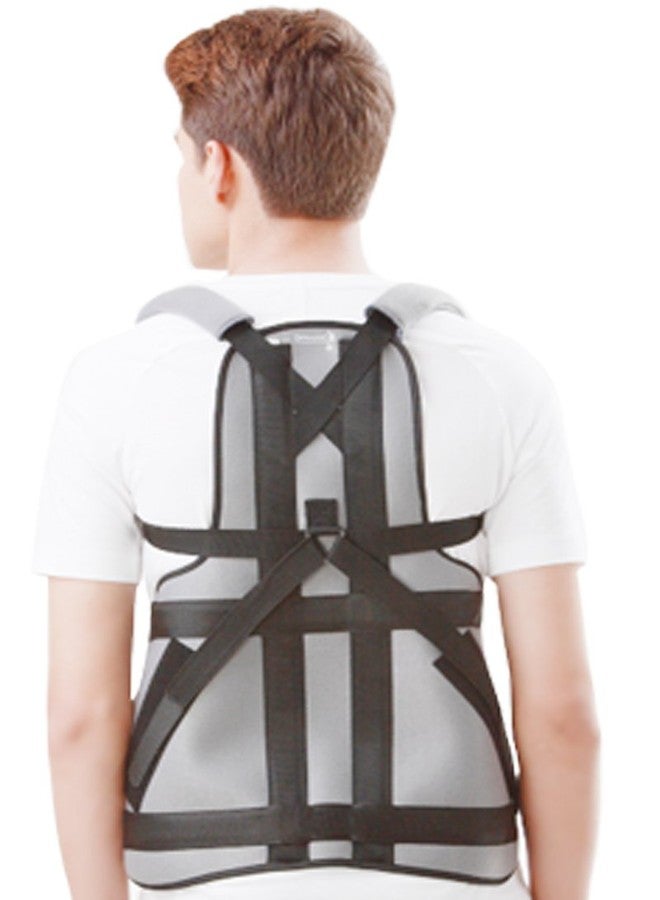 Dyna Taylor's Brace Nova ! Thoraco Lumbar Spinal Support Brace! Offers effective stabilisation of Thoracic Spine (Large-Grey) - Image 1
