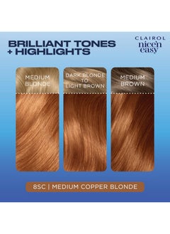 CLAIROL Nice'N Easy Permanent Hair Dye, 8Sc Medium Copper Blonde Hair Color, Pack Of 3  - Image 5