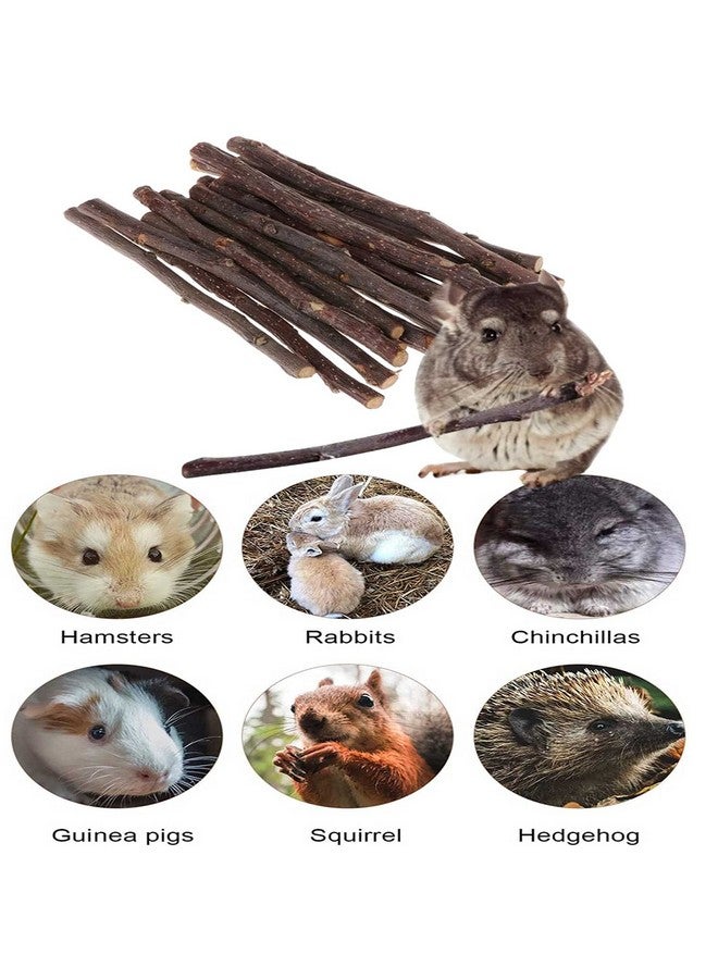 ANDES Natural Apple Sticks 10oz(300g) Small Animals Molar Wood Treats Toys Chinchilla Guinea Pig Hamster Rabbit Gerbil Parrot Bunny and Small Animals Chew Stick Toys Treats - Image 3