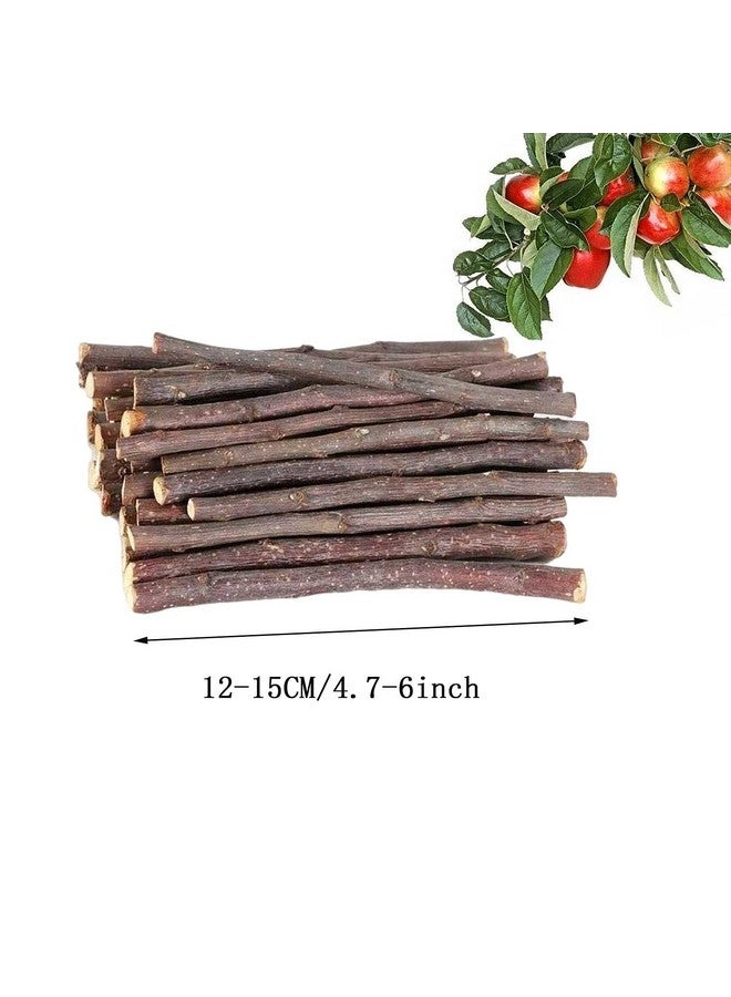 ANDES Natural Apple Sticks 10oz(300g) Small Animals Molar Wood Treats Toys Chinchilla Guinea Pig Hamster Rabbit Gerbil Parrot Bunny and Small Animals Chew Stick Toys Treats - Image 2