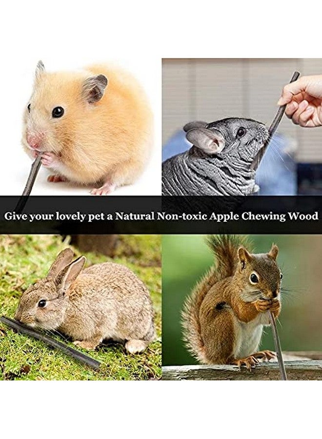 ANDES Natural Apple Sticks 10oz(300g) Small Animals Molar Wood Treats Toys Chinchilla Guinea Pig Hamster Rabbit Gerbil Parrot Bunny and Small Animals Chew Stick Toys Treats - Image 5