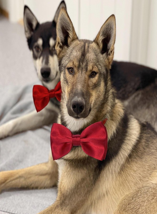 KOOLMOX Dog Bow Tie, Red Bow Tie with Adjustable Dog Collar for Medium and Large Dogs Cats Pets Wedding Birthday Party Holiday Homecoming Costumes, 1 Piece Wine Red - Image 3