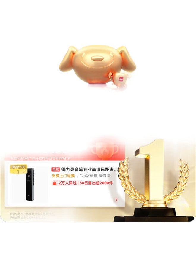 Deli Voice Recorder, Professional Recording Device, Portable Personal Recorder, Long Standby Time, For Study, Meetings, And Training, 16Gb, Mp312 - Image 1