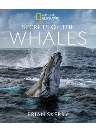 Secrets of the Whales - pzsku/Z1920D117A3936CE7F8B0Z/45/_/1724845097/eea60bba-ccdb-405c-bd21-4690814ab150
