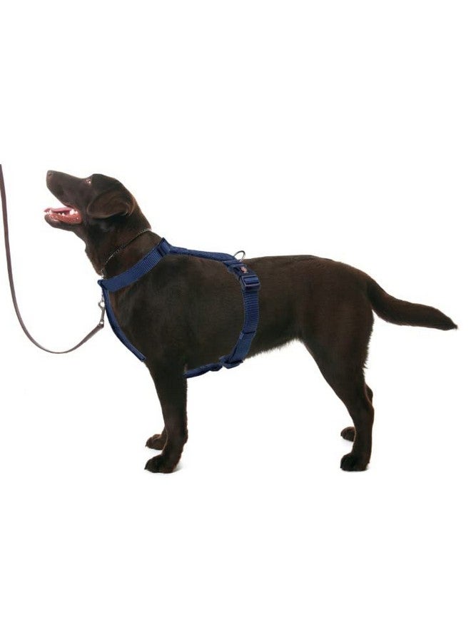 تريكسي حزام سياحة ممتاز للكلاب مصنوع من حشوة من الصوف، قابل للتعديل وخفيف الوزن، حلقة قوية على شكل حرف D تحافظ على الحزام والمقود في مكانهما (L-Xl، نيلي) - Image 3