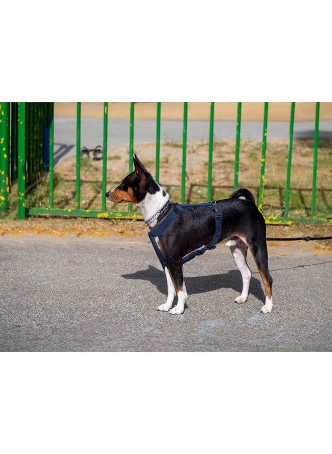 تريكسي حزام سياحة ممتاز للكلاب مصنوع من حشوة من الصوف، قابل للتعديل وخفيف الوزن، حلقة قوية على شكل حرف D تحافظ على الحزام والمقود في مكانهما (L-Xl، نيلي) - Image 4