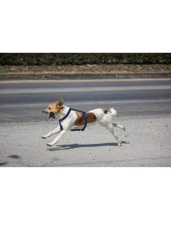 تريكسي حزام سياحة ممتاز للكلاب مصنوع من حشوة من الصوف، قابل للتعديل وخفيف الوزن، حلقة قوية على شكل حرف D تحافظ على الحزام والمقود في مكانهما (L-Xl، نيلي) - Image 5