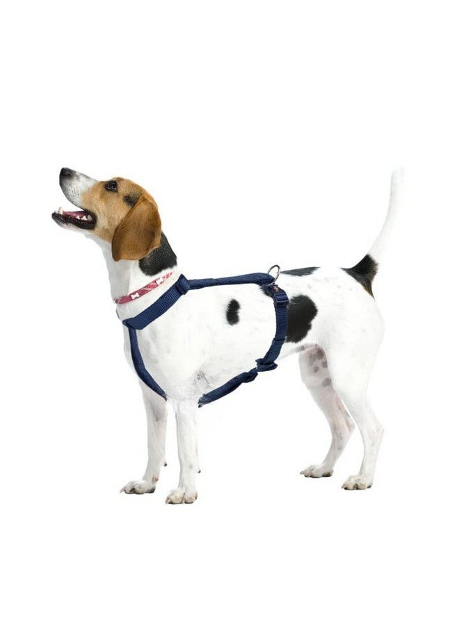 تريكسي حزام سياحة ممتاز للكلاب مصنوع من حشوة من الصوف، قابل للتعديل وخفيف الوزن، حلقة قوية على شكل حرف D تحافظ على الحزام والمقود في مكانهما (L-Xl، نيلي) - Image 2