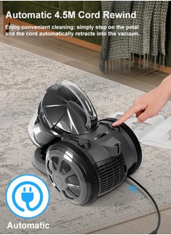 Xoopla Canister Vacuum Cleaner, with 2200W Powerful 28000PA Suction Handheld Vacuum Cleaner, 99.9% Dust Removal, 2.2L Dust Cup, 5.2KG Lightweight Design, Auto Cord Rewind, Multi-Surface Brush for Hard Floor /Carpet /Sofa,Suitable for home, office and car cleaning  - Image 4