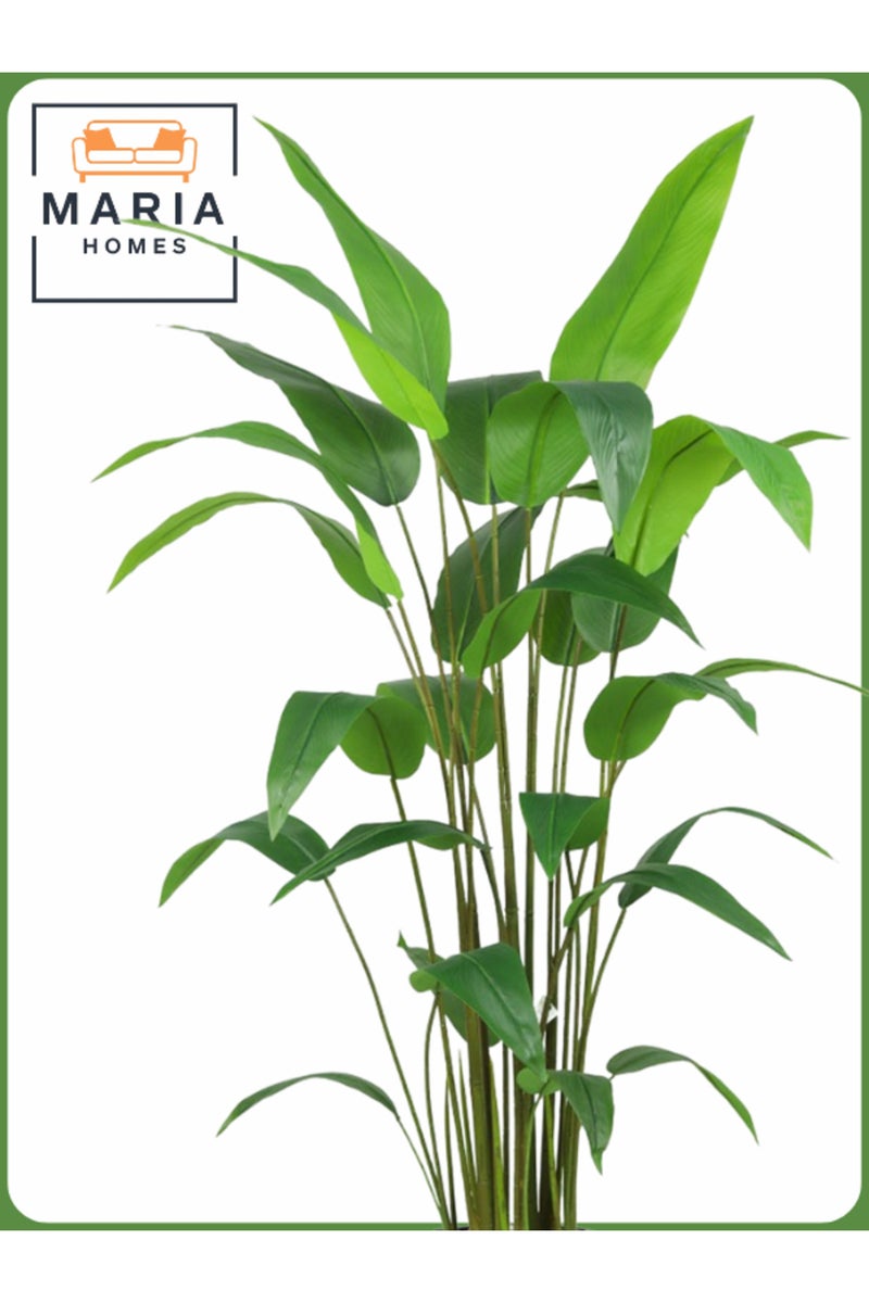 ماريا شجرة طائر الجنة الاصطناعية 170 سم - نبات صناعي داخلي مع وعاء رمادي فاتح - Image 2