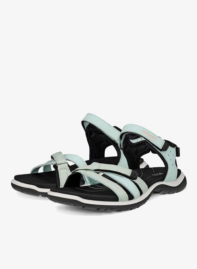 إيكو إيكو أوف رود روام دبليو زمردي