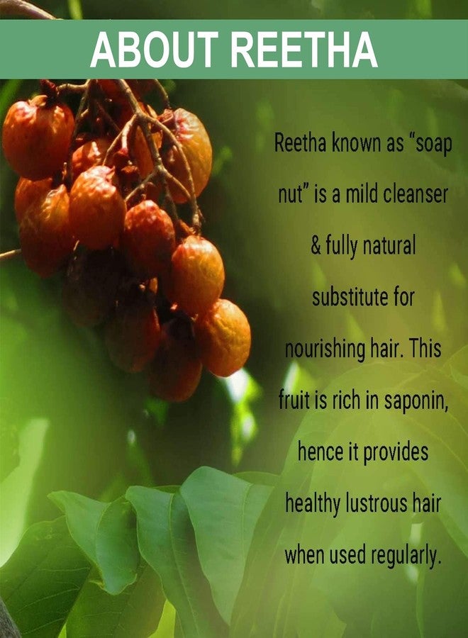 Oilanic 100% Pure & Natural Reetha Powder- For Skin & HairCombo Pack of 3 Jar (300gm) - Image 5