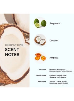 Skylar Coconut Cove Eau De Perfume Hypoallergenic & Clean Perfume For Women & Men Vegan & Safe For Sensitive Skin Fruity Fresh Perfume With Notes Of Bergamot Coconut & Ambrox (10Ml /0.33 Fl Oz)  - Image 4