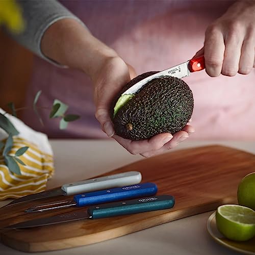 Opinel Les Essentials Small Kitchen 4 Piece Knife Set - Paring Knife, Serrated Knife, Peeler, Vegetable Knife, Corrosion Resistant High Carbon Steel, Made in France (50s) - Image 5