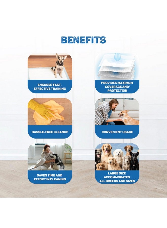 تريكسي حفاضات للكلاب مصنوعة من مادة السليلوز الطبيعية الليفية الطويلة، وهي فائقة الامتصاص للكلاب، ويمكن استخدامها في سلال الكلاب أو أسرتها في حالة سلس البول - 40 × 60 سم، عبوة من 7 قطع - Image 5