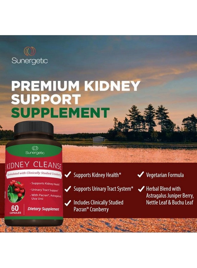 سانيرجيتيك مكمل غذائي ممتاز لتنظيف الكلى - تركيبة قوية لدعم الكلى مع خلاصة التوت البري تساعد على دعم صحة الكلى والمسالك البولية - 60 كبسولة نباتية - Image 4