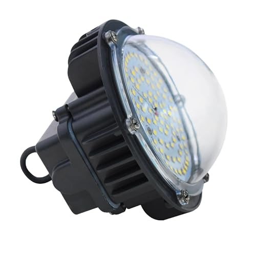 Forus 40W LED Well Glass Light (Cool White) with 5 Years Warranty - High Bay Light Ideal for Warehouse, Hanging Lamp, Industrial, Commercial Lighting, Highbay, Shed Lights - Pack of 1 Pc - Image 1