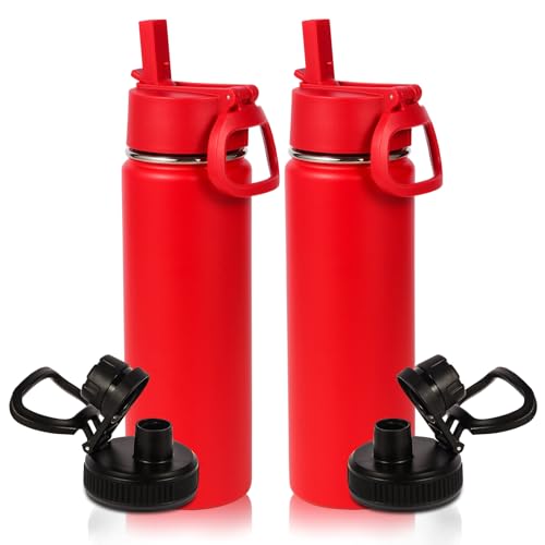 Volhoply 20oz Insulated Stainless Steel Water Bottle With Straw Lid Bulk 2 PackKids Double Wall Vacuum Cups With HandleReusable Outdoor Sports Camping Metal BottlesTravel Flask Keep ColdRed2