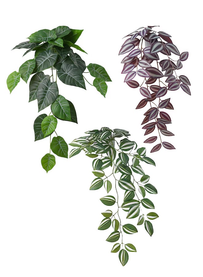 Swiss Canton 3-in-1 Potted Tropical Plant Set - Zebrina, Golden Pothos, and Watermelon Peperomia, Vibrant Low-Maintenance Decor, Perfect for Any Space, Effortless Elegance, Vibrant Greenery