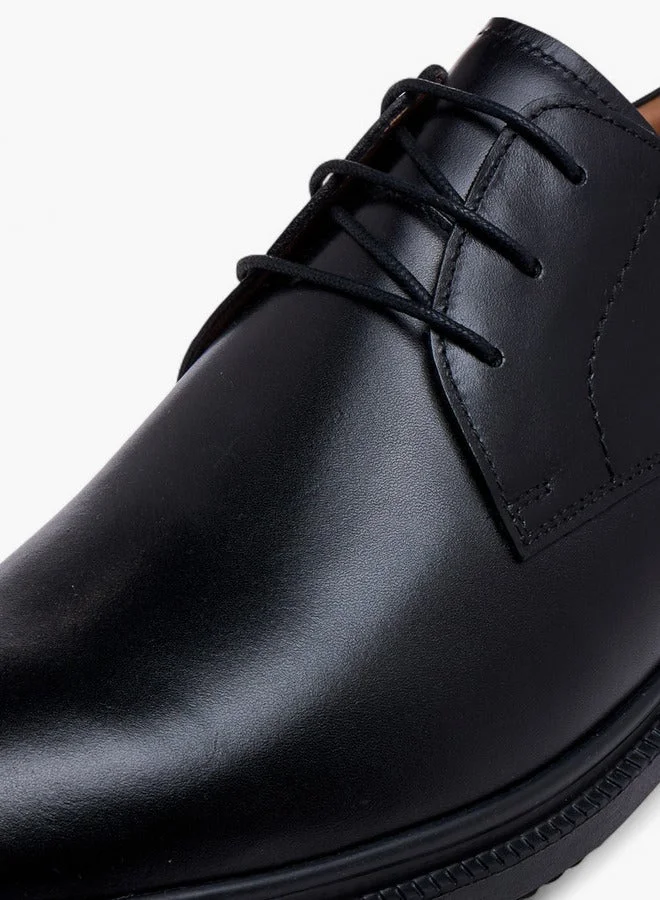 LBL by Shoexpress Solid Lace-Up Derby Shoes