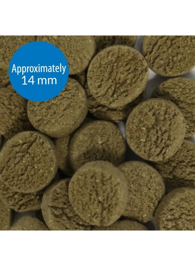 API Algae Eater Wafers Fish Food 3.7 oz - Image 2