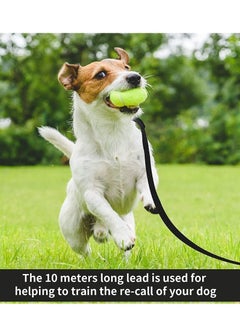 AL RAID Medium Line Training Dog Leash, Long Lead For Large, Medium and Small Dogs - Great for Training, Play, Camping, or Backyard  - Image 4