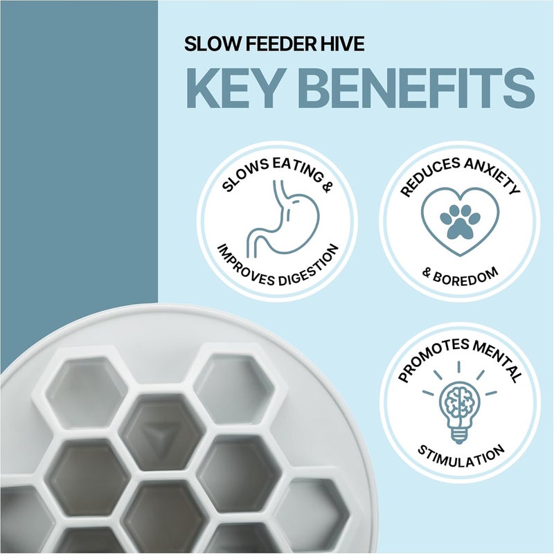TRIXIE Slow Feeder Hive XXL Cat Bowl Cat Food Plate Pet Feeding Bowl - Image 5